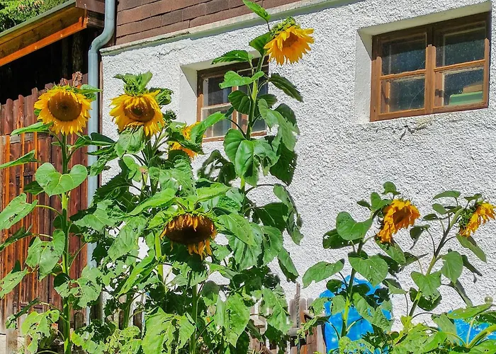 Naehe Ischgl بيت للعطل *