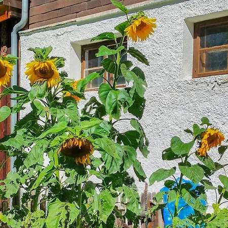 Naehe Ischgl Tatil Evi *